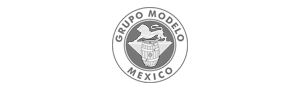 GRUPO-MODELO